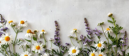 Canvas Print - Chamomile flowers, twigs, foliage, and lilac flower parts arranged on a white surface. Overhead view in a flat layout.