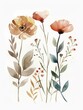 minimalist wildflower watercolor painting,  eadow with ixed flowers Illustration