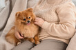 Senior woman with Pomeranian dog sitting on sofa at home, closeup