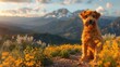 Airedale terrier on a hiking trail, mountain view, adventurous