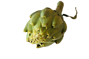 Wall Mural -  green artichoke on white and poured background