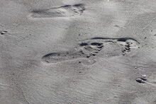 Footprints In Wet Sand At The Beach Stock Photo