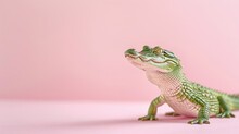 Green Alligator On Pink Background Standing With Mouth Closed