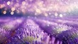 A serene digital illustration of a lavender field bathed in the soft, purplish glow of twili.