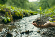 small plant held in hands by the river, nature, generative AI