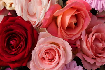 Sticker - Group of white roses, wedding decorations