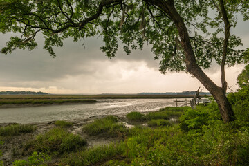 Wall Mural - Before the rain starts over the marsh