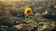 In the middle of a deserted wasteland a lone sunflower blooms a symbol of hope and resilience in the face of a harsh and isolating environment. .