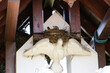The bird made a nest on a bird figurine mounted under the roof