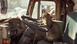 A focused black cat drives an old truck 🐾🚚 Embark on an adventure with feline determination!
