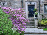Fototapeta Londyn - Old stone house with spring flowers