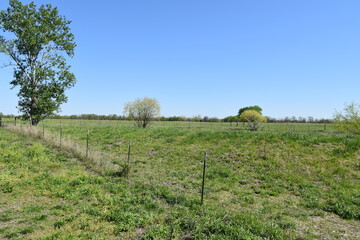 Wall Mural - Farm Field