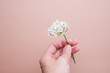 Hand with blossom flower for spring background.