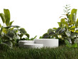 Marble white podium in the forest on transparent background 3d PNG
