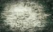 grunge  ,old   gray wooden  vignette  texture background