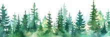 Watercolor Green Pine Forest Landscape Banner