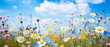Beautiful meadow close-up of small white, pink and blue daisy blooming flowers on cloudy sky and spring summer day background. Colorful and bright natural pastoral landscape.