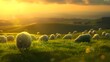Sheep on the prairie