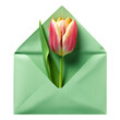 pink tulip peeking out of a mint-green envelope, conveying messages of love, appreciation, or springtime sentiments. greeting cards, romantic themes or spring designs, isolated