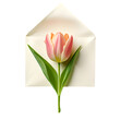 tulip emerging from a cream color envelope, symbolizing love, affection, or communication. Ideal for greeting cards, spring themes, or romantic concepts, isolated on white transparent background, png