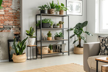 An Interior Design Concept For The Living Room, Featuring Plants And A Black Metal Shelf With Pots Against Light Grey Walls, A White Floor, A Wooden Coffee Table