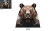 Bear, low poly, Low poly bear illustration