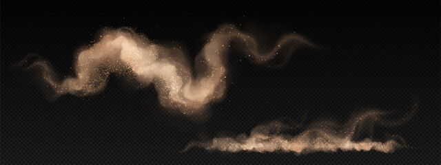 Wall Mural - smoke cloud with sand and soil particles. realistic 3d vector illustration of desert sandstorm wind 