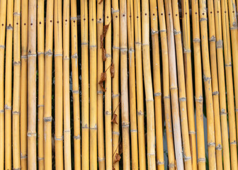 Sticker - Dry bamboo fence as an abstract background. Texture