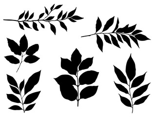 Wall Mural - Branches with leaves silhouette vector art