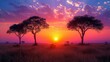 A beautiful sunset over a field with a tree in the foreground