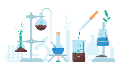 Wall Mural - Organic chemistry concept. Lab glass tubes system and glassware with ground and greens. Plants genetic modification, research and growth, decent vector scene