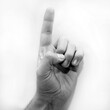 Letter D in American Sign Language (ASL) for deaf people, black and white monochrome photo of a hand