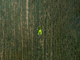 Fototapeta Lawenda - A man laying in a green field