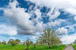 Wolkenfetzen und aufgelockerte Bewölkung vor blauem Himmel über einer blühenden Streuobstwiese mit asphaltiertem, landwirtschaftlichem Weg