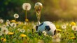 © tashechka - A gold soccer trophy and black-and-white ball set amidst dandelions on a sunlit field.