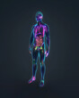 © Oksana_Latysheva - Human body, x-ray anatomy isolated on black background