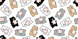 Fototapeta  - bear polar seamless pattern baseball ball sport vector teddy pet doodle cartoon gift wrapping paper pastel color tile background repeat wallpaper illustration scarf isolated design