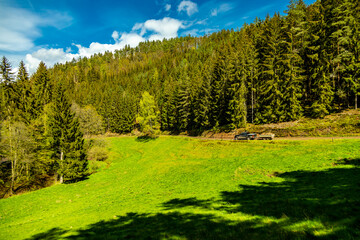 Wall Mural - Eine kleine Wanderung auf den Höhenweg der Stadt Schmalkalden mit typischen Aprilwetter - Thüringen - Deutschland