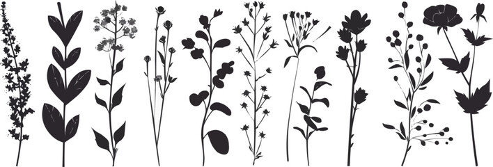 Wall Mural - Set of elegant silhouettes of flowers, branches and leaves. Thin hand drawn vector botanical elements