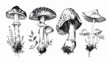 Set of Four inedible mushrooms with titles on white background