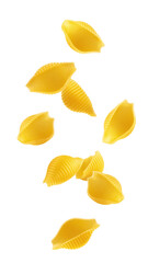 Wall Mural - falling raw conchiglie rigate, uncooked italian pasta, isolated on white background, full depth of f