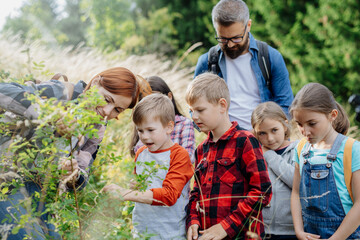 Poster - Young students learning about nature, forest ecosystem during biology field teaching class, observing wild plants. Dedicated teachers during outdoor active education.