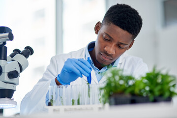 Aufkleber - Scientist, cannabis and test tube in lab with research for development, innovation or medical experiment. Science, investigation and man with analysis of sample for healthcare, growth and knowledge
