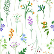 Seamless floral pattern with wildflowers. Botanical print for textile, wallpaper. Delicate field blooms and twigs, endless background. Meadow flowers. Spring and summer flat vector illustration