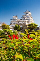 Poster - Himeji castle, Japan. Blue sky	