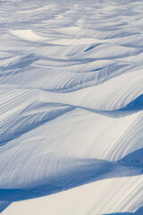 Wall Mural - snow texture. wind sculpted patterns on snow surface. wind in the tundra and in the mountains on the