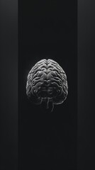 A Vertical Image Of A Chalk Drawing Of A Human Brain On A Black Chalkboard. 