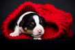 newborn puppy in a red blanket sleeps with eyes closed