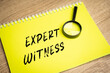 Expert witness inscription. Court cases process concept. Person who has special knowledge, skills and is called upon to express an opinion in legal proceedings.