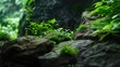 Lush Aquatic Plants Embracing Stone Features in a Peaceful Aquarium settings, A rock covered in green moss and plants